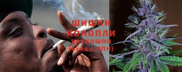 гашик Балахна